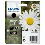 Cartouche d'encre noire originale Epson T1801 (18) - C13T18014012